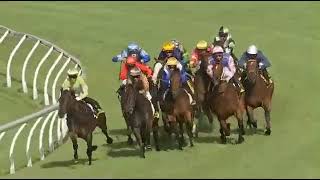 Abounding  Tattersalls Classic 1200m Listed Race 2024  Ridden by Martin Harley [upl. by Annod]