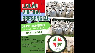 LEILÃO Virtual e Presencial da Cruzeta Leilões  Frutal  MG  Dia 25012024 [upl. by Eentruok]