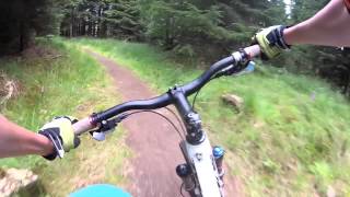 Kielder Forest MTB  Blue Run Single Track Downhill Sections [upl. by Eppillihp]