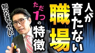 「新人が育たない組織」のただ一つの特徴（元リクルート 全国営業一位 研修講師直伝） [upl. by Leeke58]