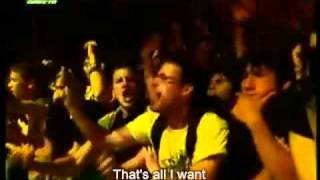 All I Want  The OffSpring  Live With Lyrics [upl. by Salema2]