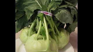 Kohlrabi 101  The Basics [upl. by Adelheid]