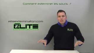 COMMENT EXTERMINER LES SOURIS   Élite Gestion Parasitaire [upl. by Refinej]