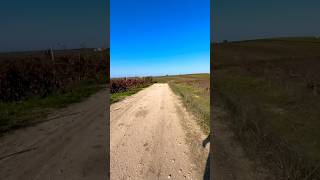 Trail run trailrun trailrunner offroad [upl. by Fredrika189]