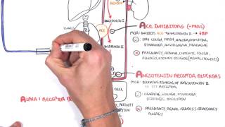 Pharmacology  Antihypertensives [upl. by Annaeel]