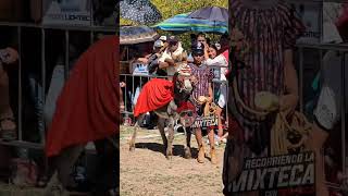 CONCURSO DE BURROS recorriendolamixteca oaxaca tradicionesmexicanas fiestaspatronales pueblos [upl. by Kragh]