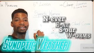 How To Interpret A Synoptic Weather Map Like A Pro [upl. by Hgielak]