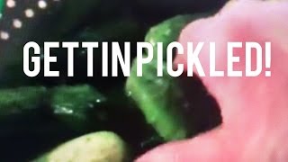 How to Make Fermented Salt Cucumber Pickles Easy Cooking Class Recipe [upl. by Geoffry605]