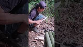 bushcraft build camp camping survival shelter wildlife skills lifehacks forest [upl. by Squire]