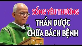 SỐNG YÊU THƯƠNG LÀ THẦN DƯỢC CHỮA BÁCH BỆNH  BÀI GIẢNG MỚI NHẤT CHA HỒNG [upl. by Hickey262]