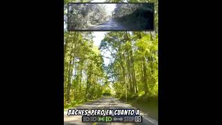 ¿El camino en carretera más bonito orgullohidalguense cdmDrive carretera roadtrip dashcam [upl. by Epifano]