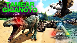 COMO TAMEAR UN GIGANOTOSAURUS EN ARK 2024 [upl. by Mlohsihc]