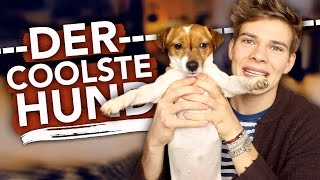 DER COOLSTE HUND EVER [upl. by Nosirrag336]