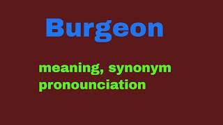 Burgeon Meanning in English pronounciation synonym amp usage [upl. by Hinze]