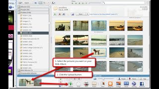 How to create photo collage in Picasa and download premium images  Quick tutorial [upl. by Conni]