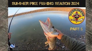 SUMMER PIKE FISHING SEASON 2024 PART 5 [upl. by Reitman]