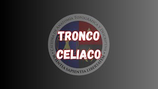 Tronco celiaco [upl. by Elvina]