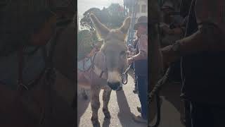 Aujourd’hui c’était la Fête de la Châtaigne à cagnessurmer  🤩🎉🌰 cagnessurmer fete chataigne [upl. by Lorie]