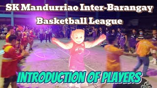 Introduction of Players  Airport Mandurriao vs Oñate de Leon  Championship Game [upl. by Wilen]