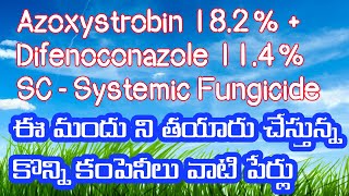 Azoxystrobin 182  Difenoconazole 114 SC  Systemic Fungicide innovativefarmingtelugu [upl. by Puett]