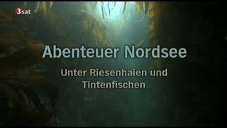 Abenteuer Nordsee  GERMAN DOKU [upl. by Rosina510]