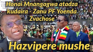 Honai Mnangagwa atadza kudaira  Zanu PF must go 🇿🇼🇿🇼🇿🇼 [upl. by Etnomal]