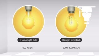 Incandescent and Halogen Lamps [upl. by Lyred]