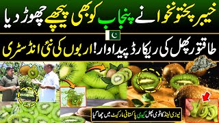 KPK Made a New Record After Punjab  KIWI Cultivation in Pakistan  Discover Pakistan [upl. by Geiss]