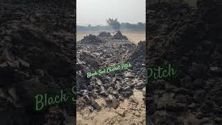 Black Soil Cricket Pitch music cricket automobile cricketpitch cricketformat trendingcricket [upl. by Sherry]