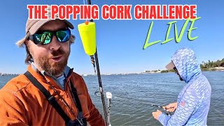 Popping Cork Challenge LIVE [upl. by Enitsirc]