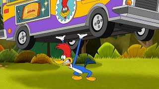 Food Truck Showdown  1 Hour of Woody Woodpecker Full Episodes [upl. by Nyram]