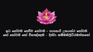 ධම්මපදය  යමක වර්‍ගය 115 [upl. by Ramma]