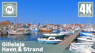 4K Virtual Walk  Gilleleje Havn amp Strand Denmark  A nice walk at the beach and marina 🛥️ [upl. by Skippy273]