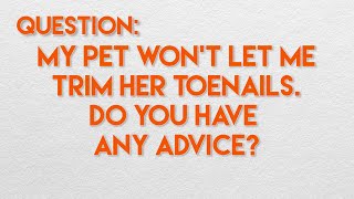 2 Simple Tips for Trimming Your Dog or Cats Nails [upl. by Boesch]