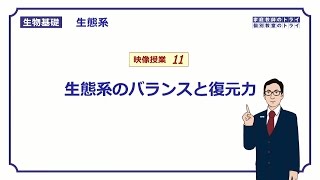 【生物基礎】 生態系11 生態系のバランスと復元力 （１５分） [upl. by Reni5]