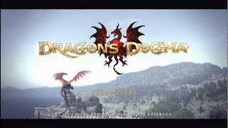 Dragons Dogma Build Your Perfect Assassin  Tips amp Strategy [upl. by Snook]