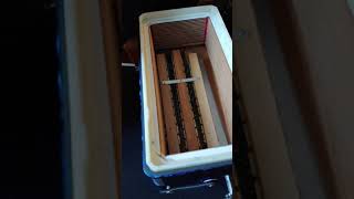 Quitando Los bajos a acordeon montanari de 3 registros tono sol removing bass reeds from accordion [upl. by Audley]