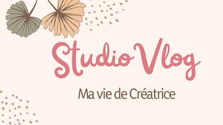 Studio Vlog 102 La fin dune commande  des microbes [upl. by Otit]