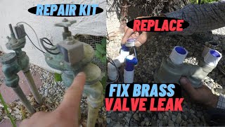 2 Ways To Fix Brass AntiSiphon Sprinkler Valve Leak Tips for Rebuild W Repair Kit or Replacement [upl. by Mada542]