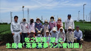 牧之原茶「望」と生産者「茶夢茶夢ランド菅山園」NOZOMI Makinohara green tea [upl. by Mcleod]