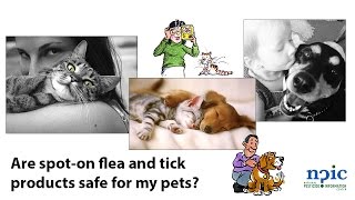 Are spoton flea and tick products safe for my pets [upl. by Ecyob]