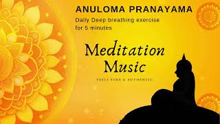 Anuloma Viloma Pranayama I Meditation Music [upl. by Michal529]