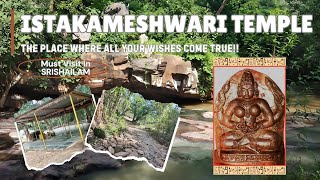 Family Trip To SrisailamPart2 Ista Kameswari Temple  Nekkanti Jungle Ride  NALLAMALLA Forest [upl. by Mishaan303]