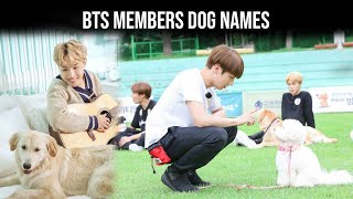 BTS 방탄소년단 BTS Members Dog Names BTS Members Playing With Dog  Bangtan Army [upl. by Medor]