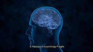 10 Fascinating Facts About How Human Memory Works The Science Behind Recalling the Past science [upl. by Lamrej741]