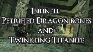 Dark Souls 2  Infinite Petrified Dragon Bone and Twinkling Titanite [upl. by Eelam]