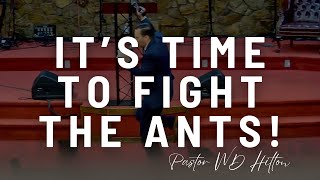 Its Time To Fight The Ants  Pastor WD Hilton October 20 2024 [upl. by Chassin]