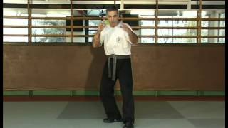 Krav Maga by Richard Douieb 13 [upl. by Aihsotan]