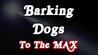 ▶️ Barking Dogs To The Max Barking Dogs Sounds Dogs Barking Noises 12 Hours 🌏 [upl. by Fiona]