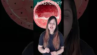 STRUCTURE OF BLASTOCYST  Biology For Class12  Kajal Singh [upl. by Edmea]